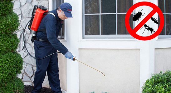 Erdek Böcek ve Haşere İlaçlama böcek ilaçlama ve haşere kontrolü — ilaclama-tr.com